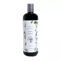 Shampoo De Romero Para Cabello Graso La Receta Cbd