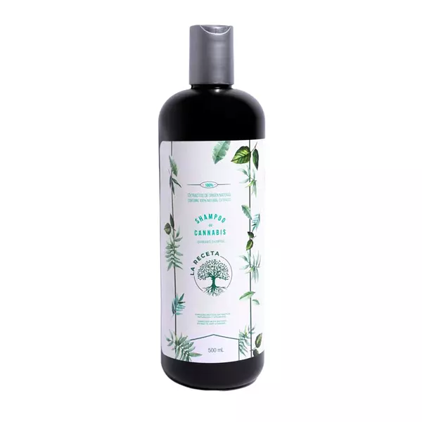 Shampoo De Argan Para Cabello Seco La Receta Cbd