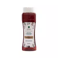 Shampoo Con Romero Y Quina Magia Natural
